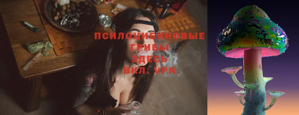 сатива Волоколамск