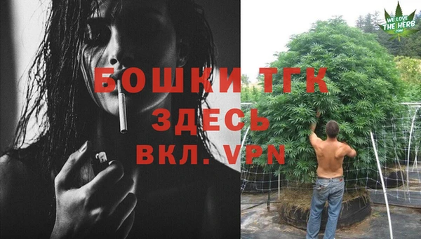 сатива Волоколамск