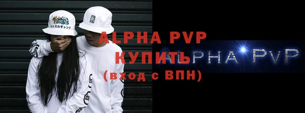 сатива Волоколамск