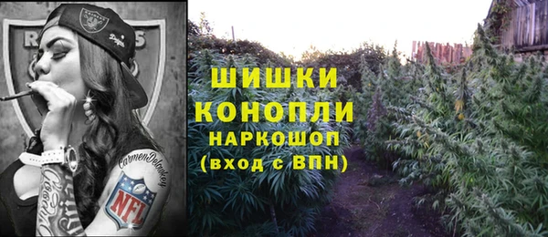 сатива Волоколамск