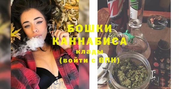 сатива Волоколамск