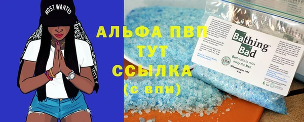 сатива Волоколамск