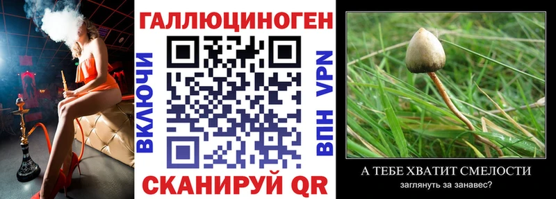 Псилоцибиновые грибы Psilocybe  Кимры 